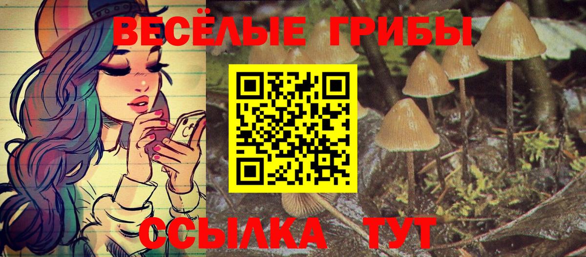 Псилоцибиновые грибы прущие грибы  Вход с VPN  Алейск 
